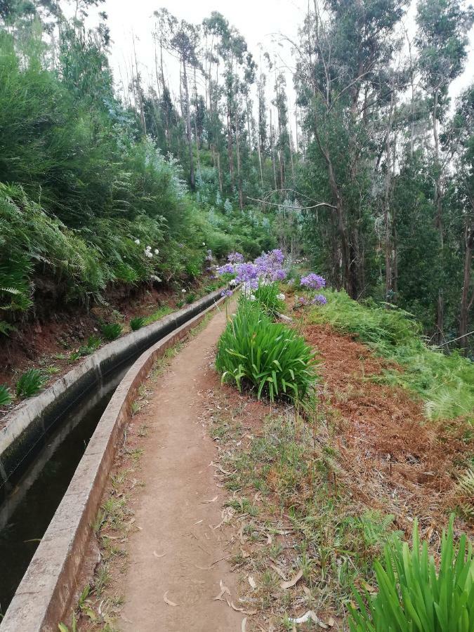 Casa Bela Vista Villa Ribeira Brava Bagian luar foto